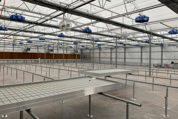 Greenhouse Veg bays